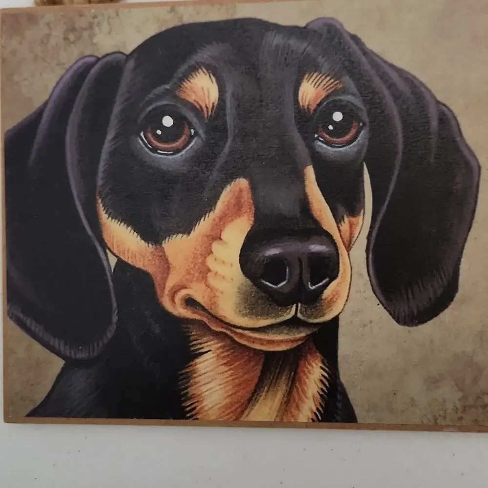 Love & Laughter Doxie 10x5 Wooden Wall Hanger Plaque Made In USA Dog  Decorative